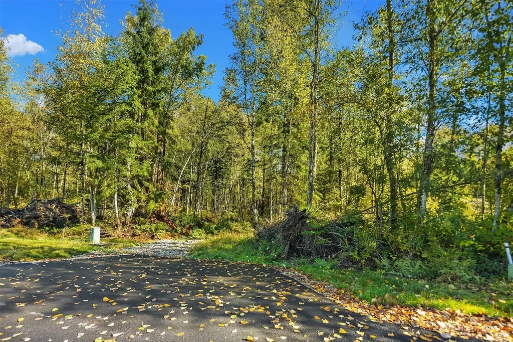0 115th Avenue NE Lake Stevens WA 98258