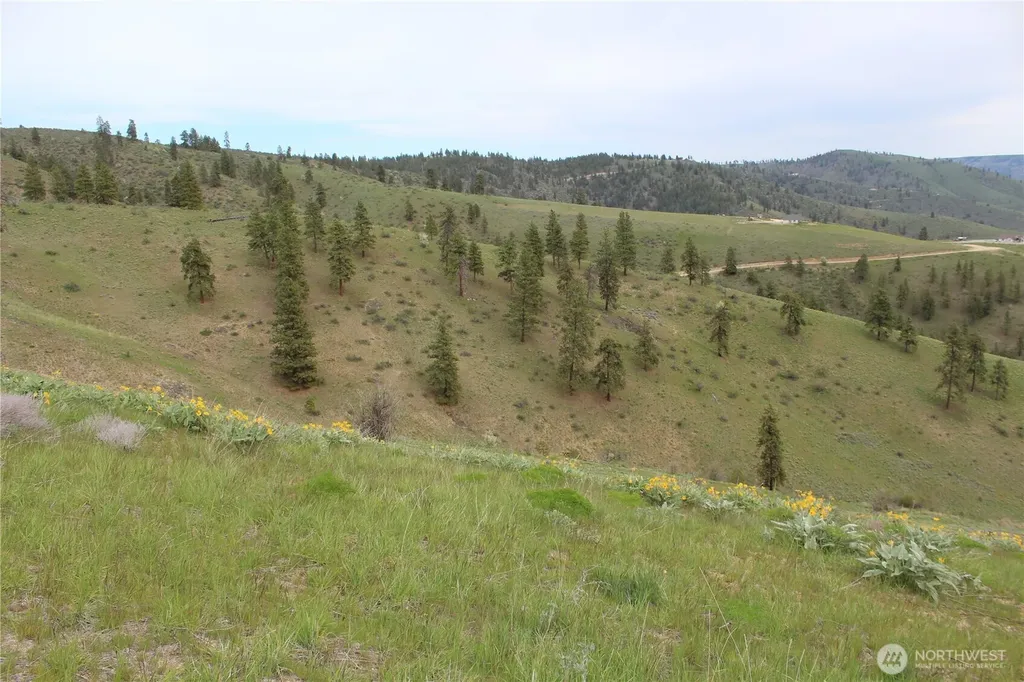 0 Xx Downhill Lane Chelan WA 98816