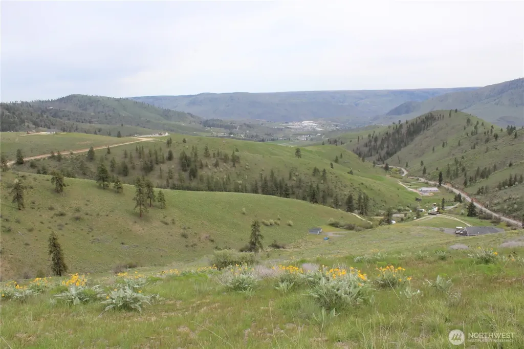 0 Xx Downhill Lane Chelan WA 98816
