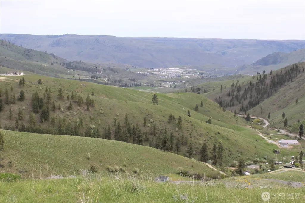 0 Xx Downhill Lane Chelan WA 98816