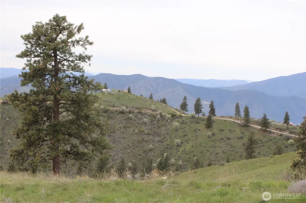 0 Xx Downhill Lane Chelan WA 98816