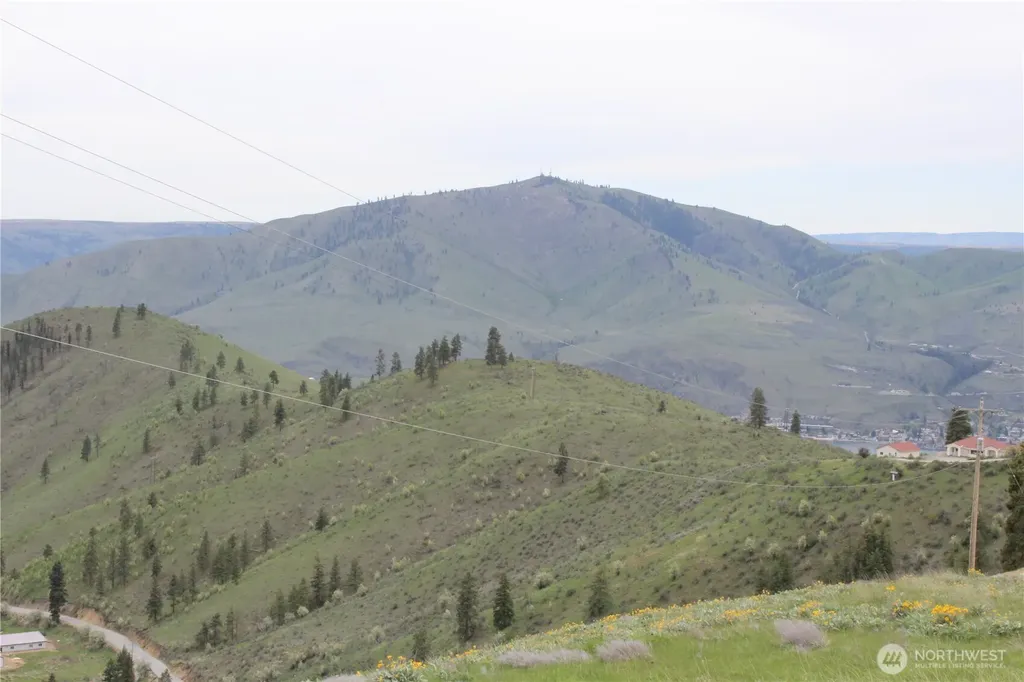 0 Xx Downhill Lane Chelan WA 98816