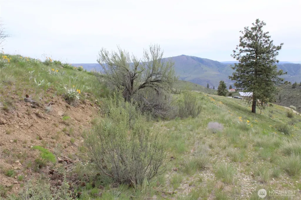 0 Xx Downhill Lane Chelan WA 98816