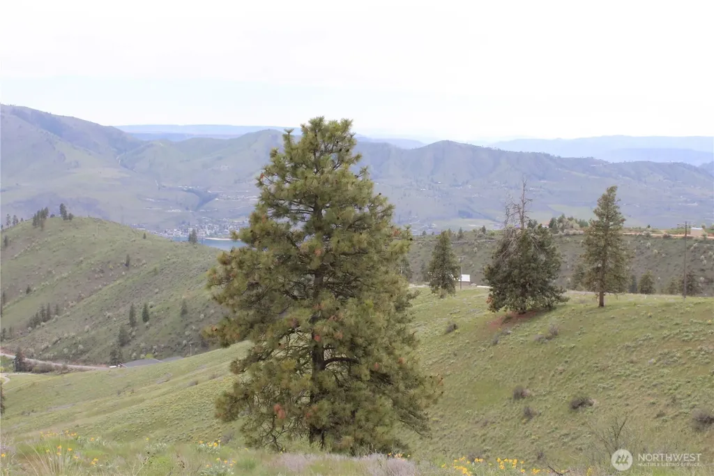 0 Xx Downhill Lane Chelan WA 98816