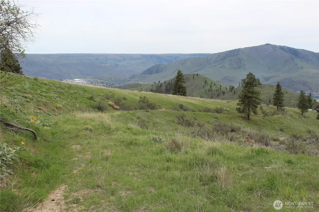 0 Xx Downhill Lane Chelan WA 98816