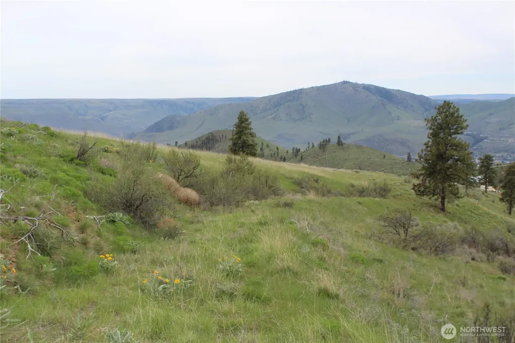 0 Xx Downhill Lane Chelan WA 98816