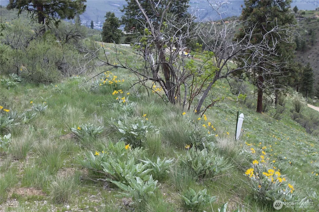0 Xx Downhill Lane Chelan WA 98816