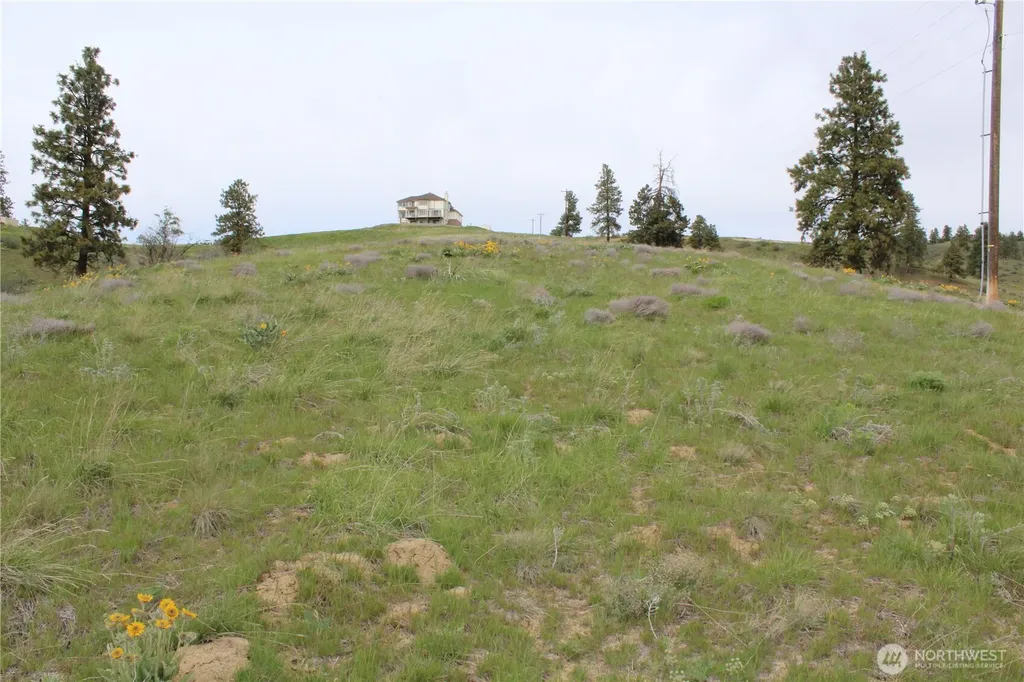 0 Xx Downhill Lane Chelan WA 98816