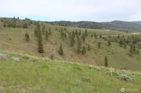 0 Xx Downhill Lane Chelan WA 98816