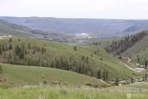 0 Xx Downhill Lane Chelan WA 98816