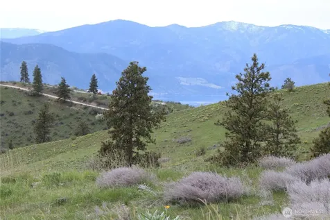 0 Xx Downhill Lane Chelan WA 98816