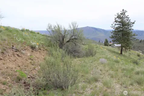 0 Xx Downhill Lane Chelan WA 98816