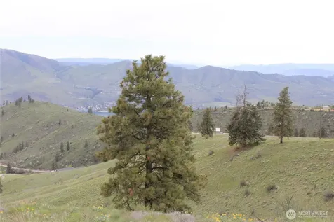 0 Xx Downhill Lane Chelan WA 98816