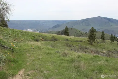 0 Xx Downhill Lane Chelan WA 98816