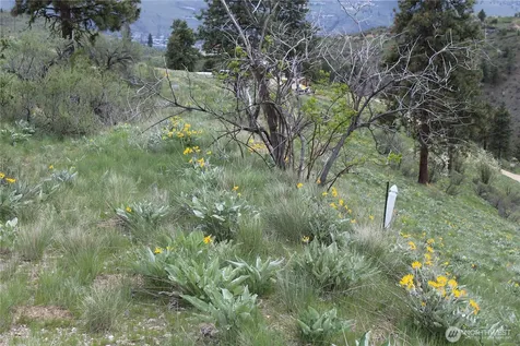 0 Xx Downhill Lane Chelan WA 98816