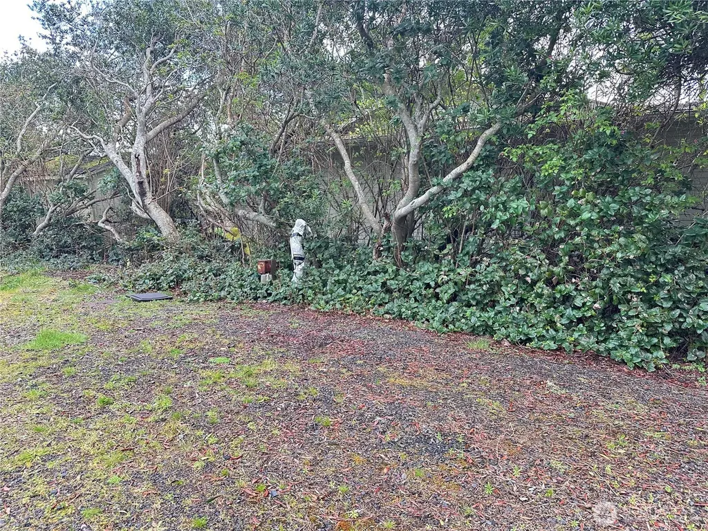 324 Clover Creek Avenue NW Ocean Shores WA 98569