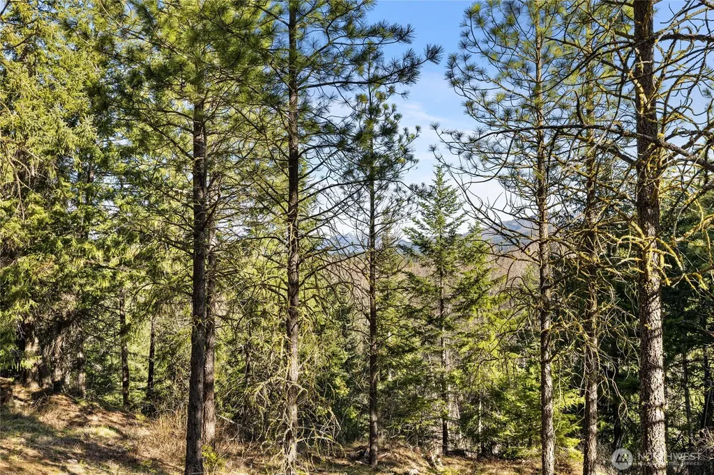47 Gold Leaf Lane Cle Elum WA 98922
