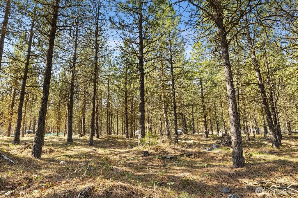 47 Gold Leaf Lane Cle Elum WA 98922