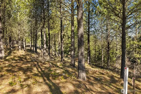 47 Gold Leaf Lane Cle Elum WA 98922