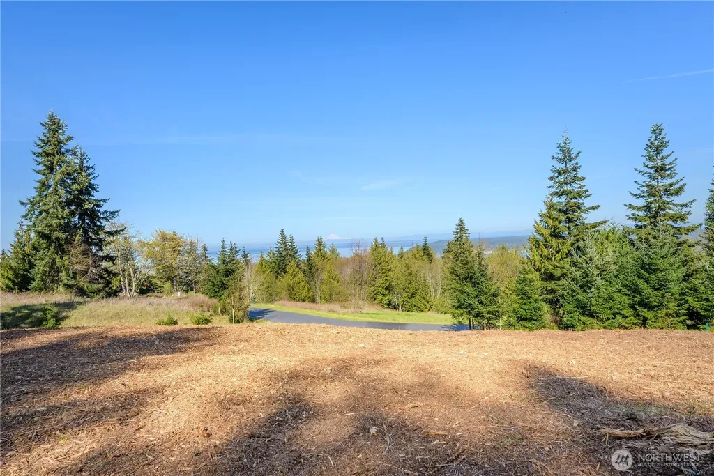 9999 Elk Pass Rd Lot 16 Sequim WA 98362