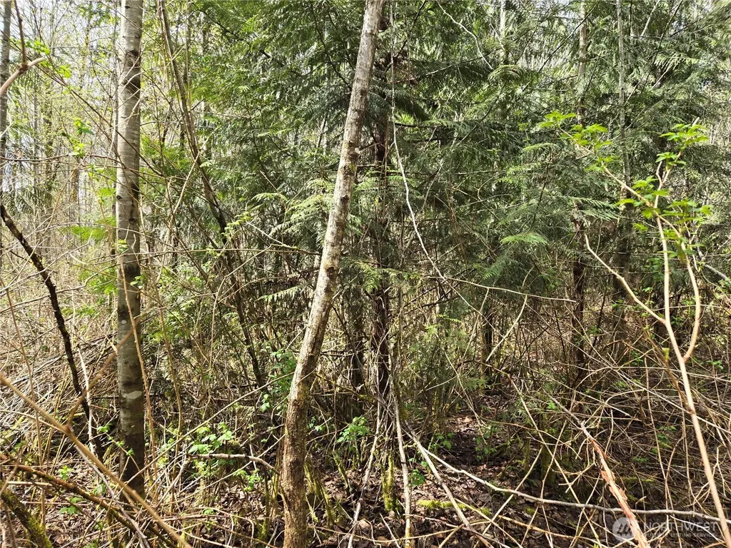 30 NE Big Rock Road Duvall WA 98019
