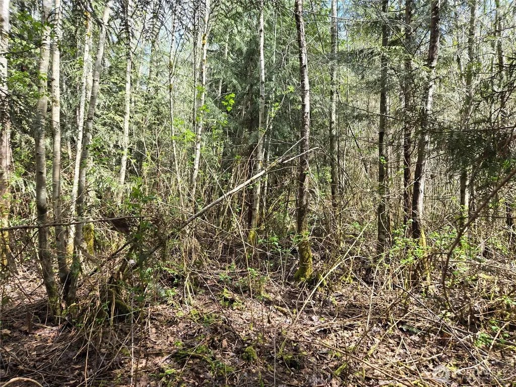 30 NE Big Rock Road Duvall WA 98019