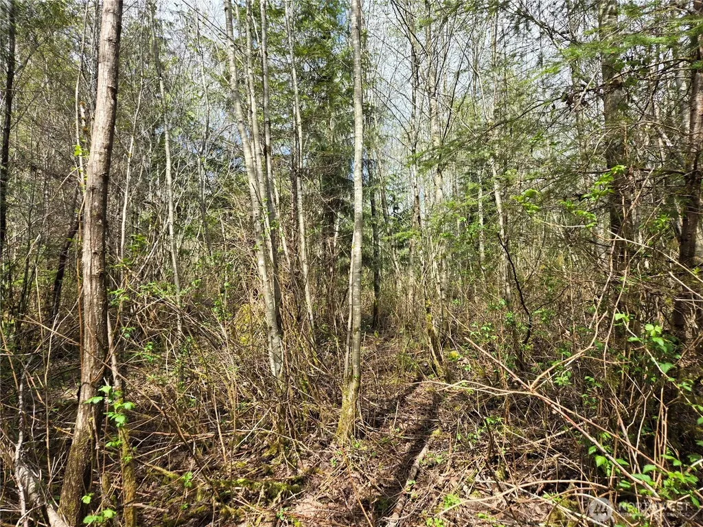 30 NE Big Rock Road Duvall WA 98019