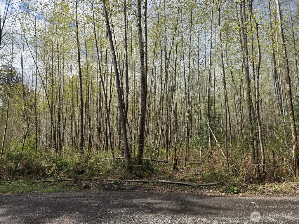30 NE Big Rock Road Duvall WA 98019