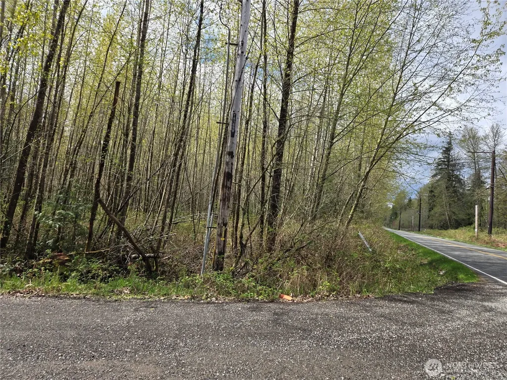 30 NE Big Rock Road Duvall WA 98019