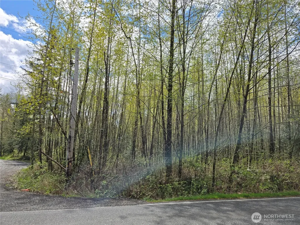 30 NE Big Rock Road Duvall WA 98019