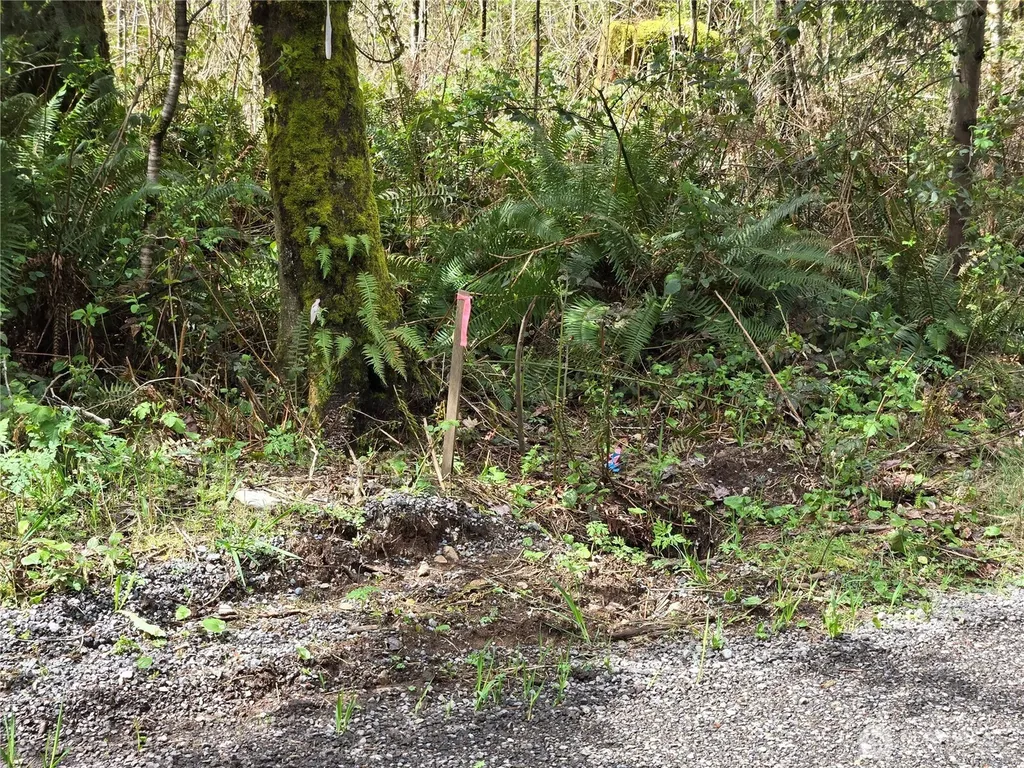 30 NE Big Rock Road Duvall WA 98019