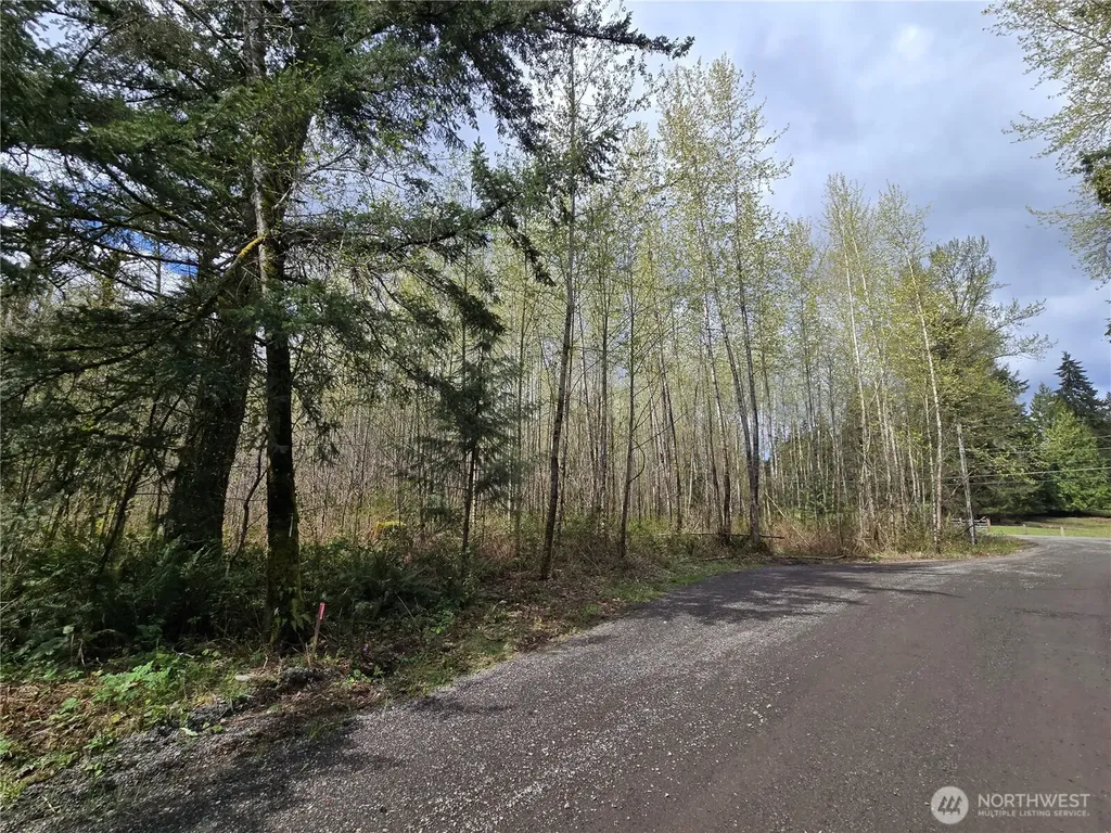 30 NE Big Rock Road Duvall WA 98019