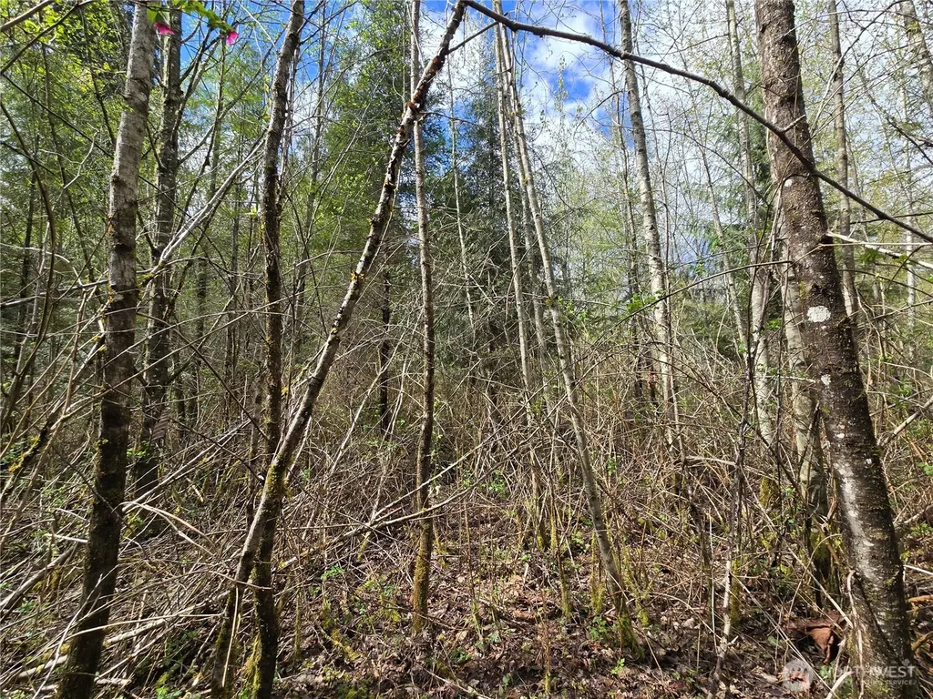 30 NE Big Rock Road Duvall WA 98019