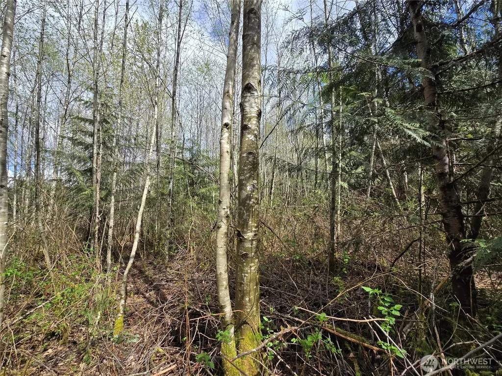 30 NE Big Rock Road Duvall WA 98019