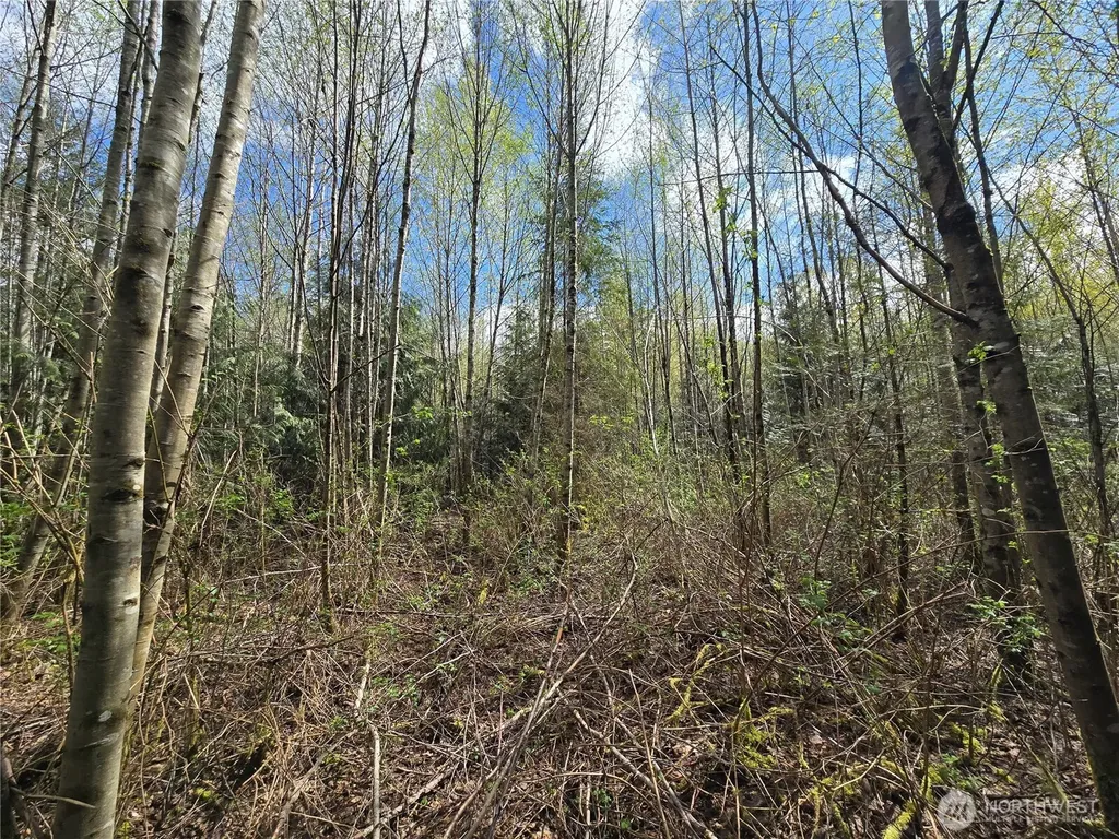 30 NE Big Rock Road Duvall WA 98019