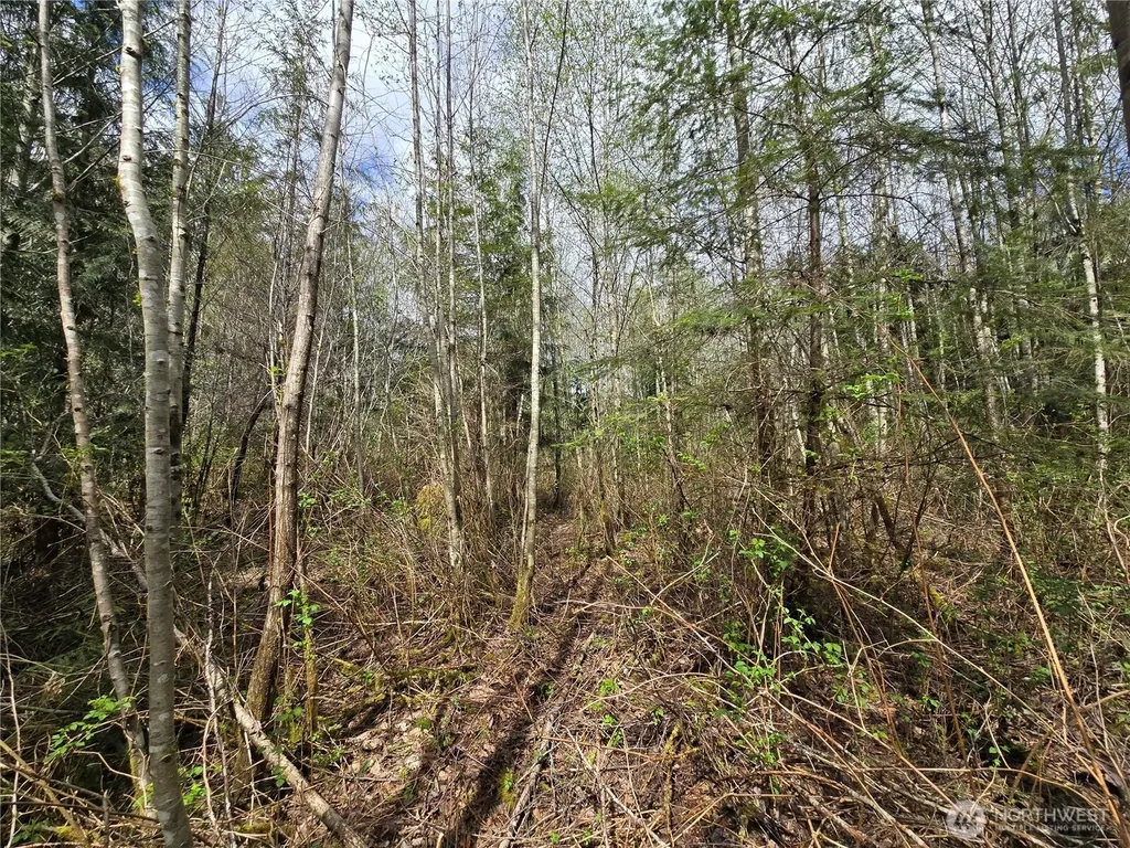 30 NE Big Rock Road Duvall WA 98019