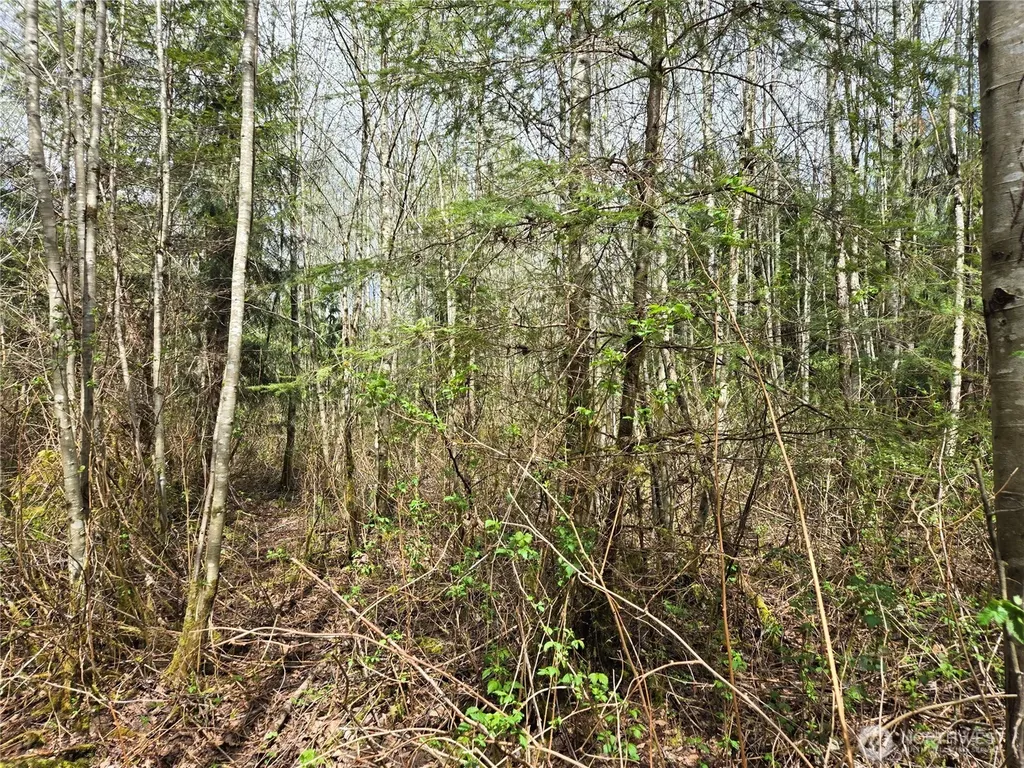 30 NE Big Rock Road Duvall WA 98019