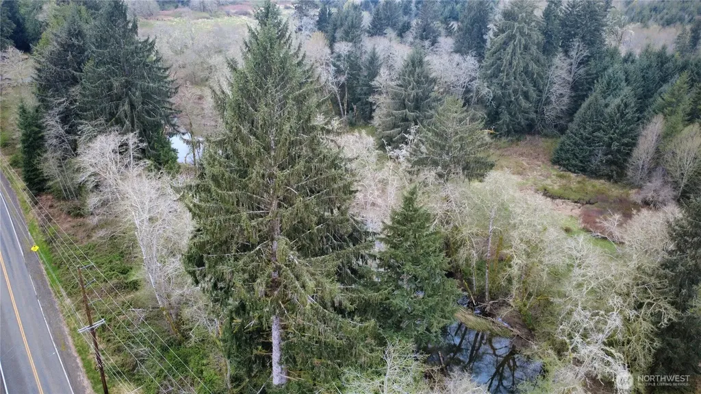 2059 E Hoquiam Road Hoquiam WA 98550