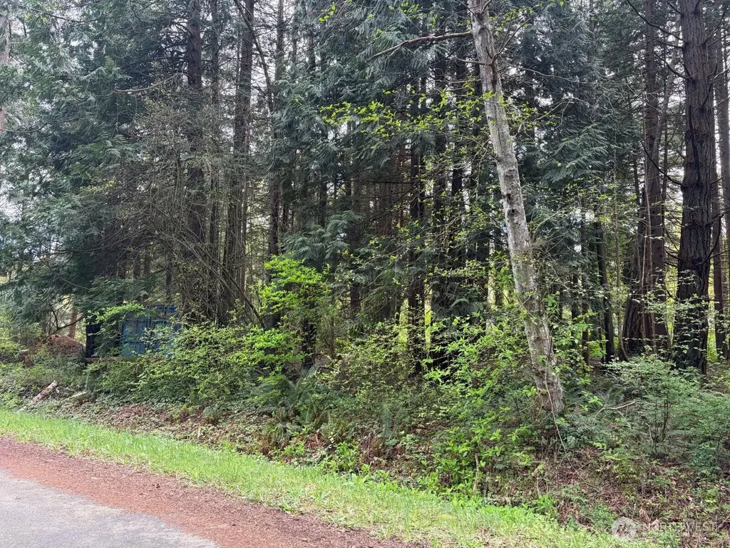 318 Madrona Place Point Roberts WA 98281