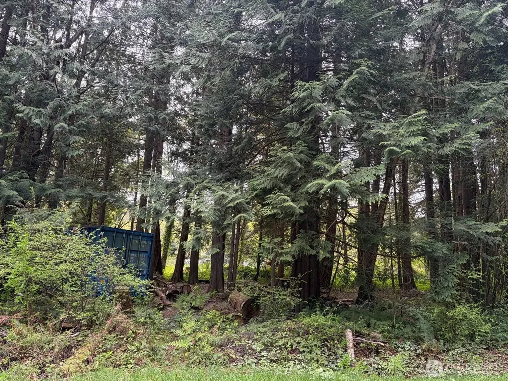 318 Madrona Place Point Roberts WA 98281