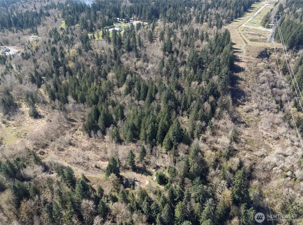 0 243rd Street E Graham WA 98338