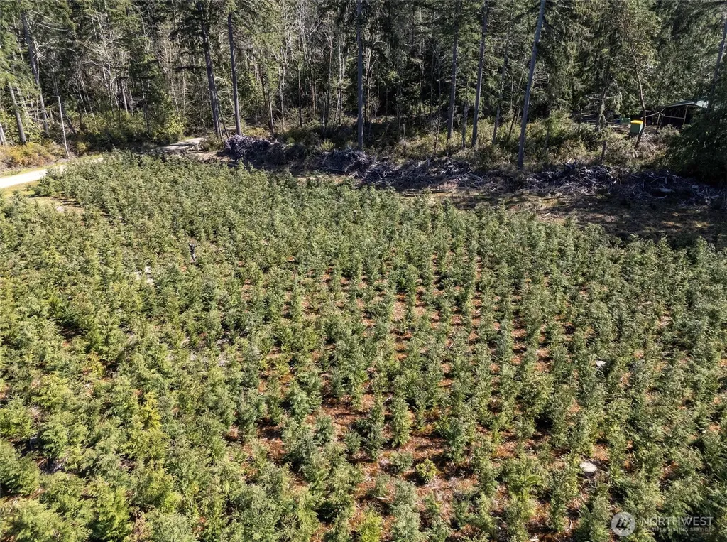 101 Andrejs Road Shelton WA 98584