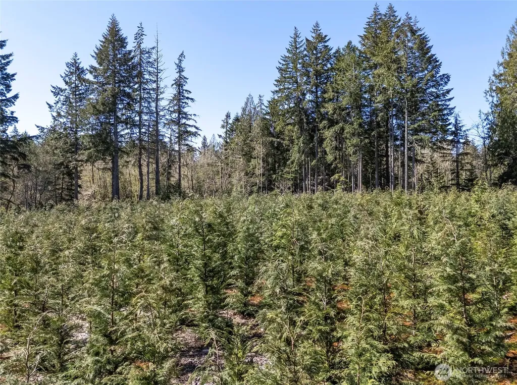 101 Andrejs Road Shelton WA 98584