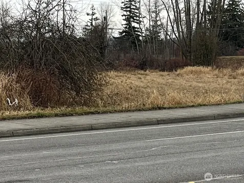 1695 Main Ferndale WA 98248