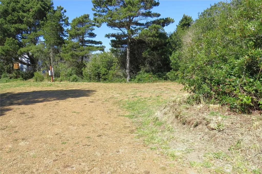 319 Sand Dune Avenue NW Ocean Shores WA 98569