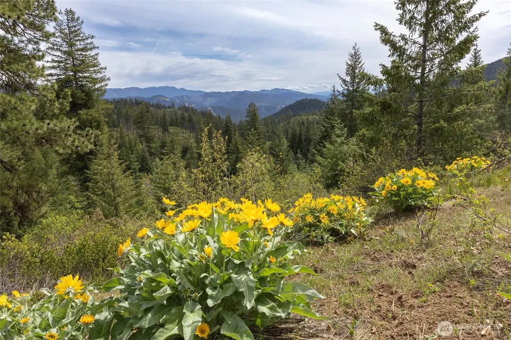 0 Forest Service 6601-550 Road Leavenworth WA 98826