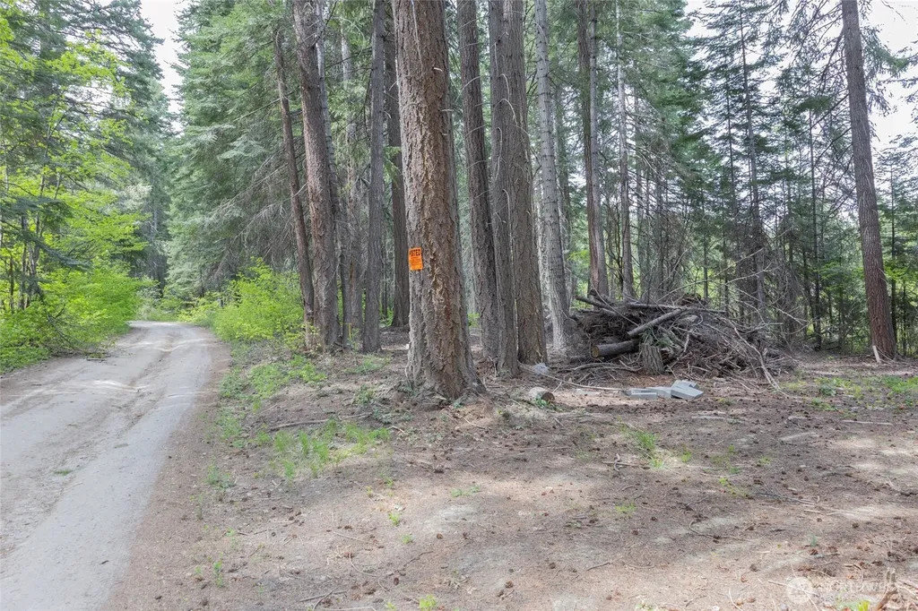 0 Forest Service 6601-550 Road Leavenworth WA 98826