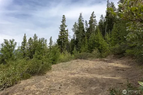 0 Forest Service 6601-550 Road Leavenworth WA 98826