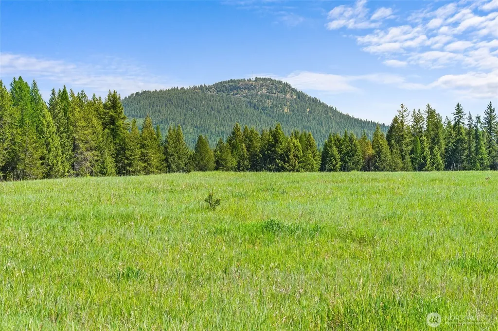 988 Orin Rice Road Colville WA 99114