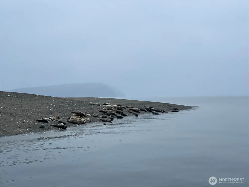 54 Saratoga Drive Hat Island WA 98206